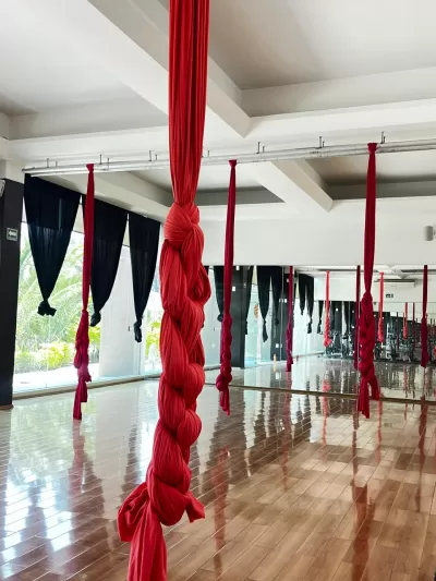 Danza Aérea 